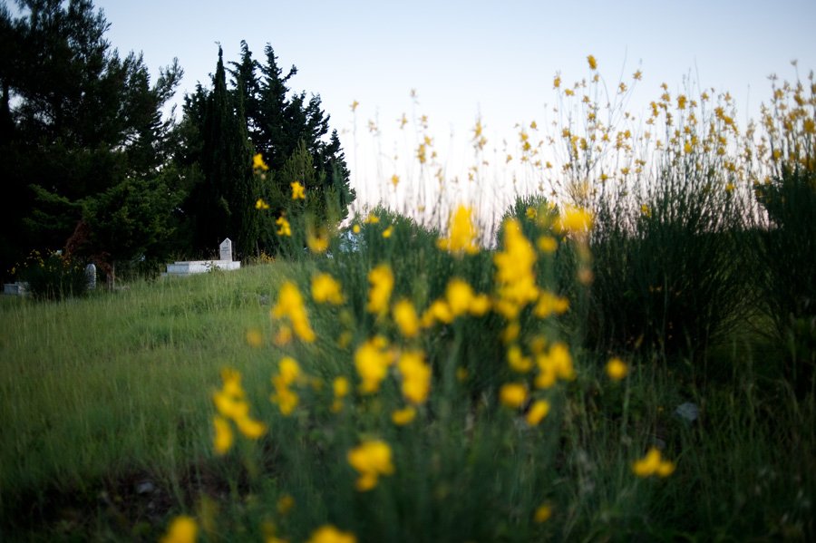 Cemetery